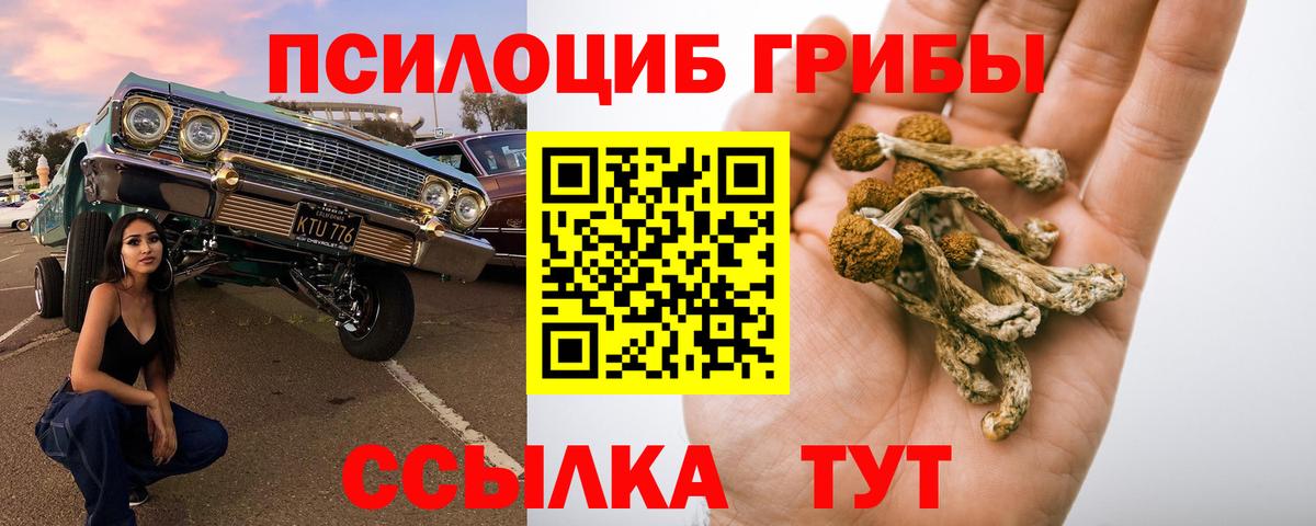 Псилоцибиновые грибы Psilocybine cubensis  Галлюциногенные грибы ЛСД  Омск  Вход с VPN 